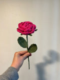 Crochet Rose